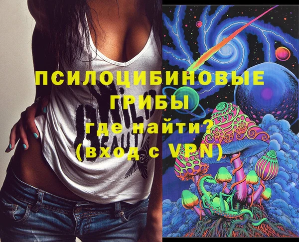 дживик Медногорск