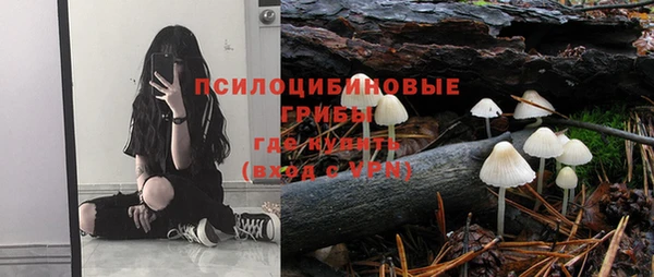 дживик Медногорск