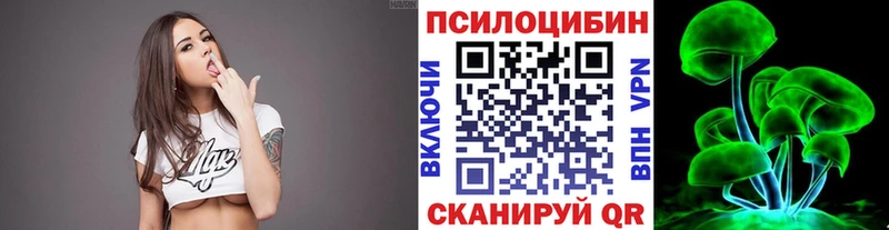 Галлюциногенные грибы Psilocybine cubensis Порхов